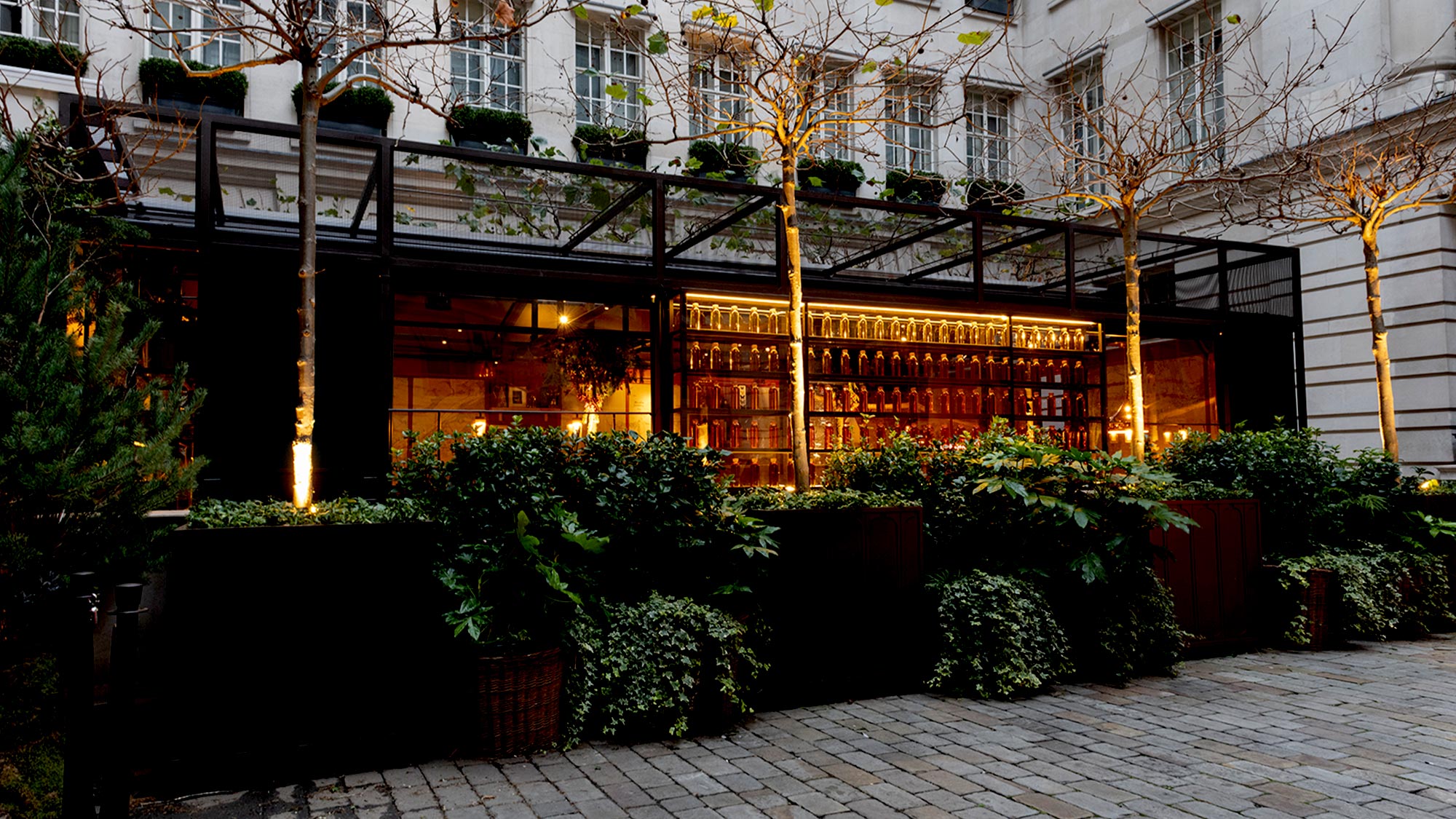 macallan-feature-1