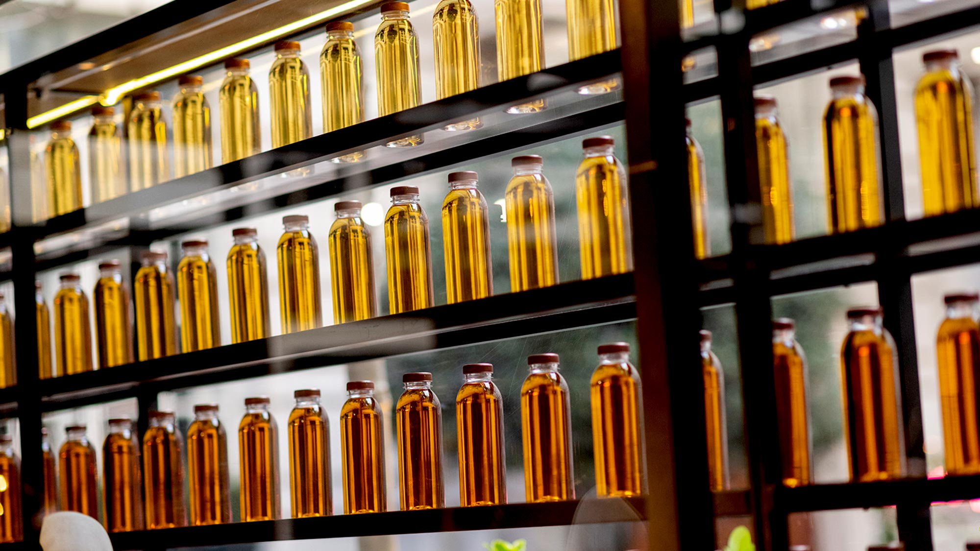 macallan-feature-5